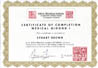Medical Qigong: Level 1