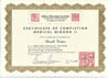 Medical Qigong: Level 2